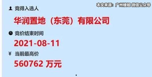 东莞国贸爆料最新消息今天,今日热点事件深度解析！”